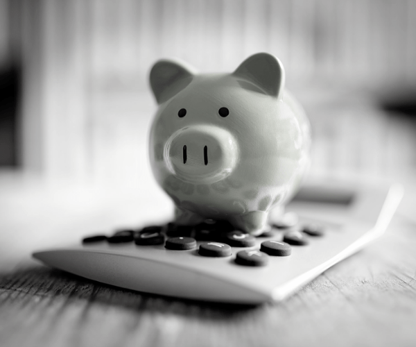 IDA Piggie Bank on a calculator ICAP Programs